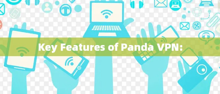 Key Features of Panda VPN: