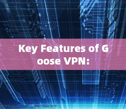 Key Features of Goose VPN: Key Features of Goose VPN: