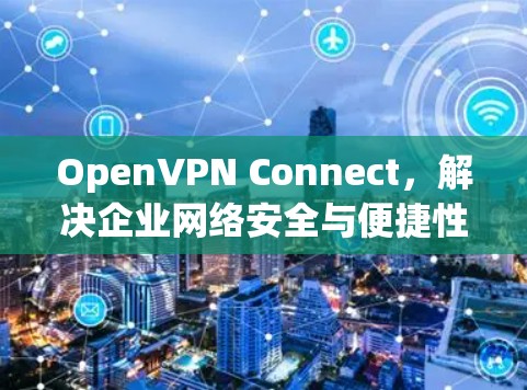 OpenVPN Connect,解决企业网络安全与便捷性的完美平衡 OpenVPN Connect,解决企业网络安全与便捷性的完美平衡