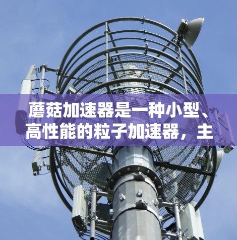 蘑菇加速器是一种小型、高性能的粒子加速器，主要用于粒子物理实验，探索基本粒子及其相互作用。以下是关于蘑菇加速器的详细介绍