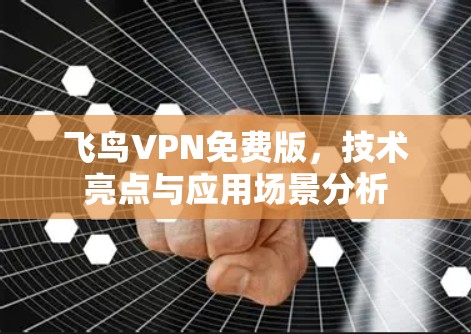 飞鸟VPN免费版,技术亮点与应用场景分析