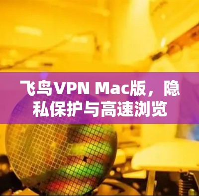 飞鸟VPN Mac版,隐私保护与高速浏览的完美结合