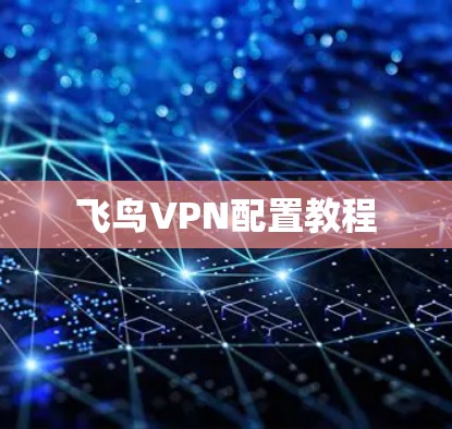飞鸟VPN配置教程