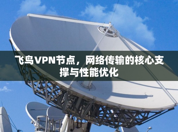 飞鸟VPN节点，网络传输的核心支撑与性能优化