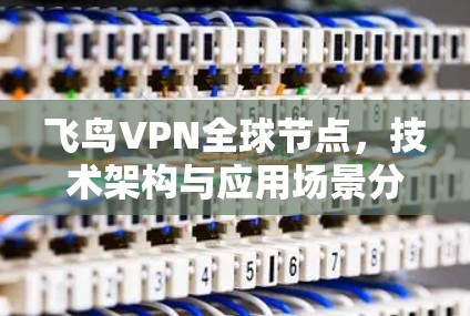 飞鸟VPN全球节点,技术架构与应用场景分析