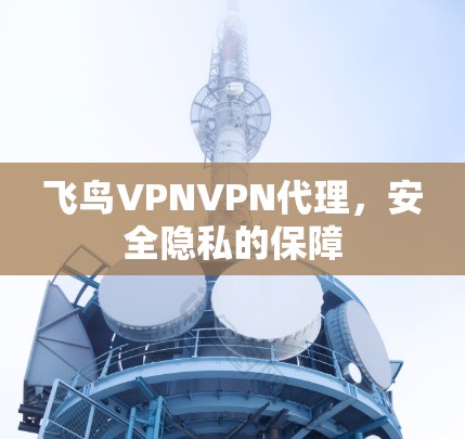 飞鸟VPNVPN代理,安全隐私的保障 飞鸟VPNVPN代理,安全隐私的保障