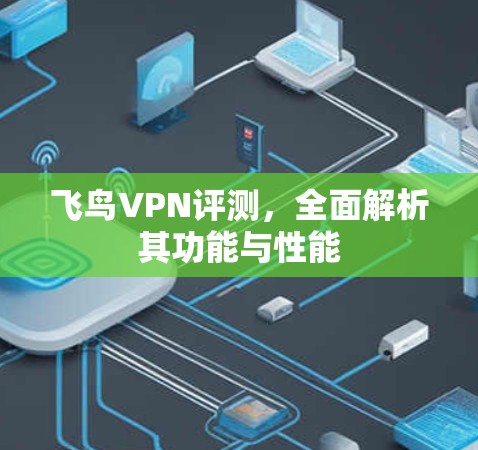 飞鸟VPN评测,全面解析其功能与性能