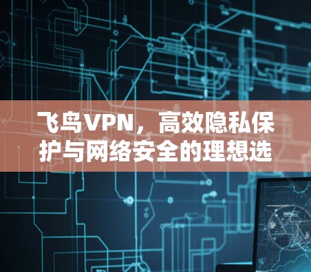 飞鸟VPN,高效隐私保护与网络安全的理想选择 飞鸟VPN,高效隐私保护与网络安全的理想选择