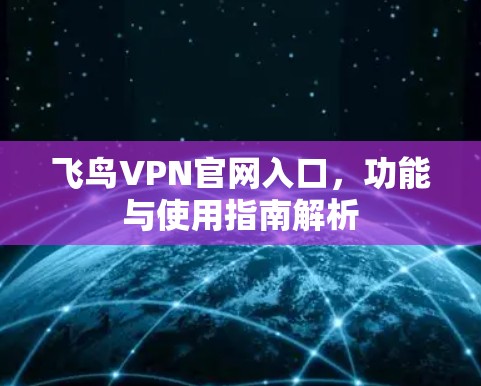 飞鸟VPN官网入口,功能与使用指南解析