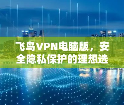飞鸟VPN电脑版,安全隐私保护的理想选择? 飞鸟VPN电脑版,安全隐私保护的理想选择?
