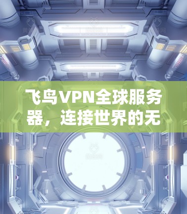 飞鸟VPN全球服务器,连接世界的无缝通信