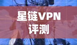 星链VPN评测
