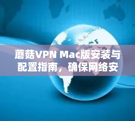 蘑菇VPN Mac版安装与配置指南,确保网络安全