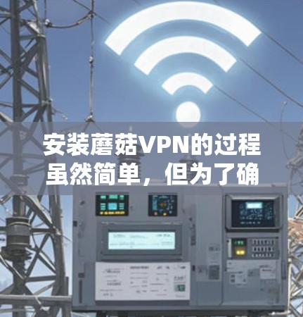 安装蘑菇VPN的过程虽然简单,但为了确保顺利完成,请按照以下步骤操作
