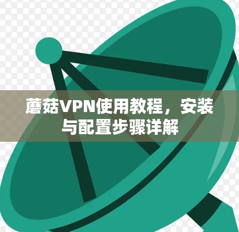 蘑菇VPN使用教程,安装与配置步骤详解