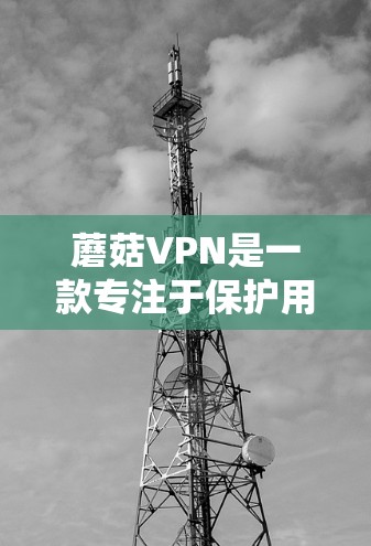 蘑菇VPN是一款专注于保护用户隐私和安全的VPN服务，适用于多种用途。以下是对蘑菇VPN的详细分析