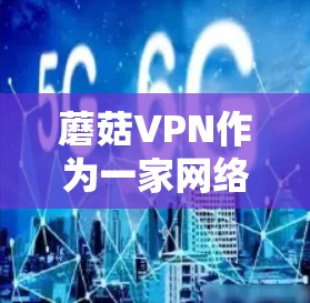 蘑菇VPN作为一家网络安全服务提供商,主要为用户提供高效、安全的网络隧道服务。以下是对蘑菇VPN的一些评测和分析,帮助你更好地了解其功能和性能