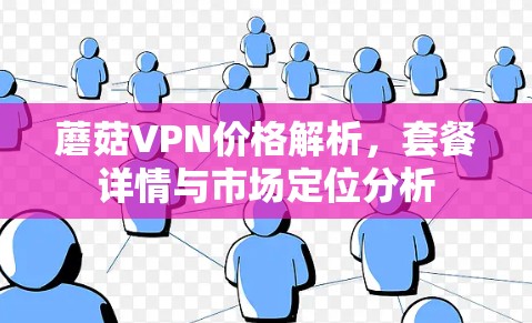 蘑菇VPN价格解析，套餐详情与市场定位分析