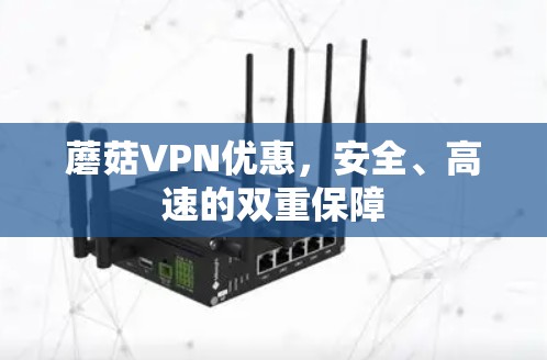 蘑菇VPN优惠,安全、高速的双重保障