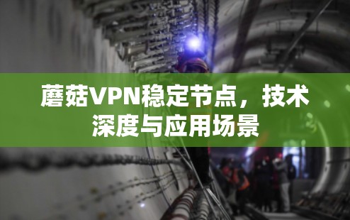 蘑菇VPN稳定节点,技术深度与应用场景
