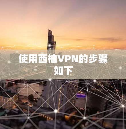 使用西柚VPN的步骤如下 使用西柚VPN的步骤如下