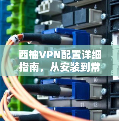 西柚VPN配置详细指南,从安装到常用操作 西柚VPN配置详细指南,从安装到常用操作