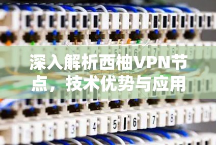 深入解析西柚VPN节点,技术优势与应用场景 深入解析西柚VPN节点,技术优势与应用场景