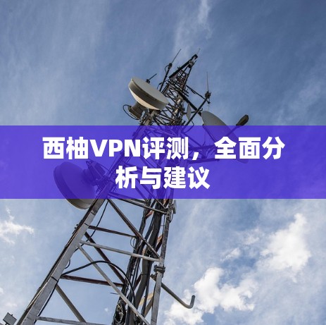西柚VPN评测,全面分析与建议 西柚VPN评测,全面分析与建议