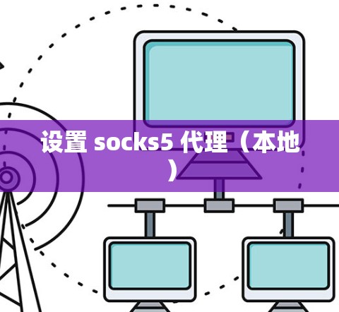 设置 socks5 代理(本地)