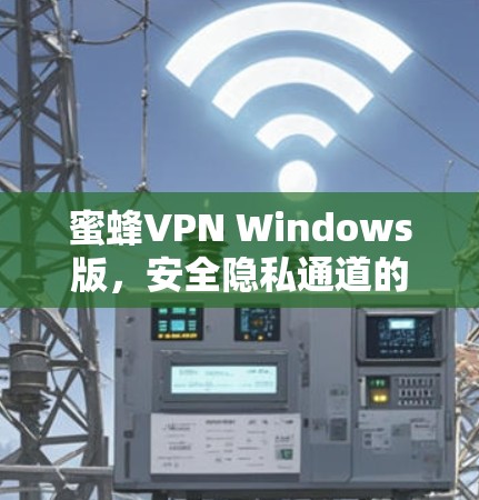 蜜蜂VPN Windows版,安全隐私通道的最佳选择