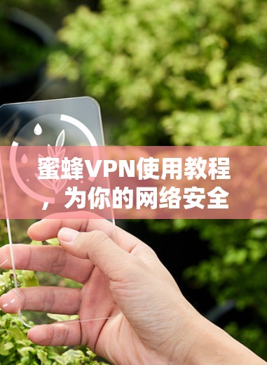 蜜蜂VPN使用教程,为你的网络安全提供坚实防护 蜜蜂VPN使用教程,为你的网络安全提供坚实防护