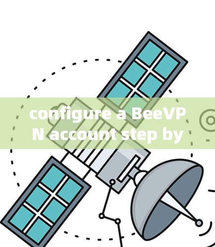 configure a BeeVPN account step by step: