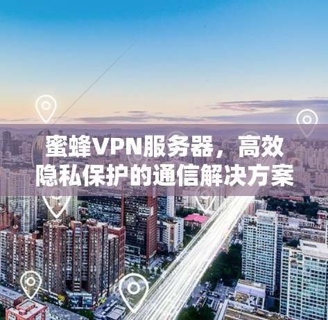 蜜蜂VPN服务器,高效隐私保护的通信解决方案 蜜蜂VPN服务器,高效隐私保护的通信解决方案