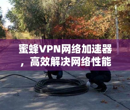 蜜蜂VPN网络加速器,高效解决网络性能瓶颈的创新方案 蜜蜂VPN网络加速器,高效解决网络性能瓶颈的创新方案
