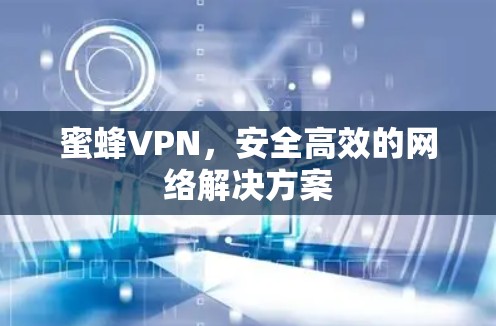 蜜蜂VPN,安全高效的网络解决方案