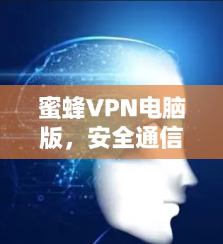 蜜蜂VPN电脑版,安全通信的新选择