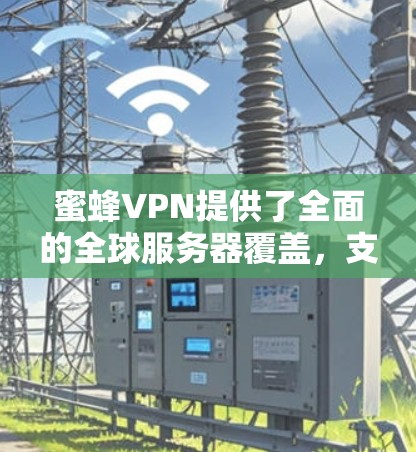 蜜蜂VPN提供了全面的全球服务器覆盖,支持多种平台,并注重隐私保护和安全性。以下是对蜜蜂VPN的详细分析和建议