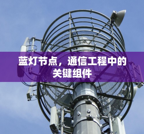 蓝灯节点,通信工程中的关键组件