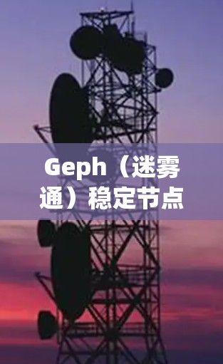 Geph(迷雾通)稳定节点是维护网络核心功能的重要组成部分,确保数据传输的高效和可靠。以下是对Geph稳定节点的详细分析