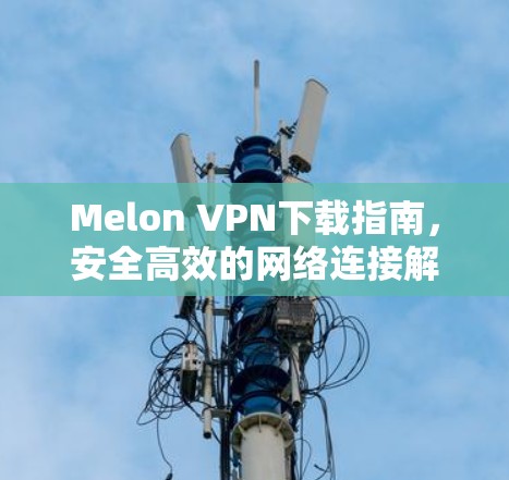 Melon VPN下载指南,安全高效的网络连接解决方案