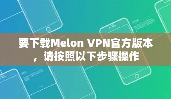 要下载Melon VPN官方版本，请按照以下步骤操作