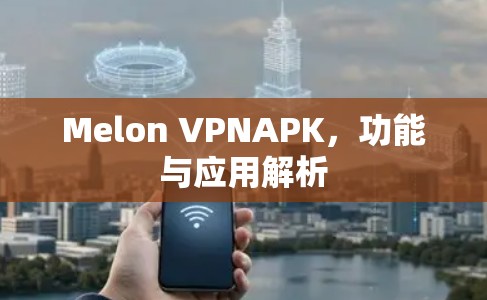 Melon VPNAPK,功能与应用解析 Melon VPNAPK,功能与应用解析