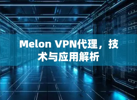 Melon VPN代理,技术与应用解析