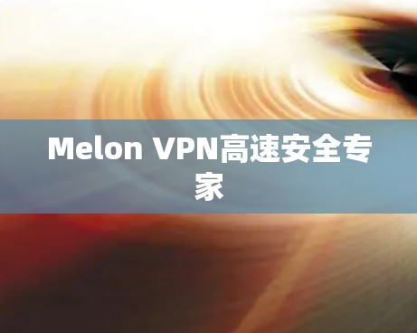 Melon VPN高速安全专家