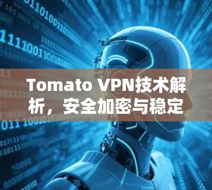 Tomato VPN技术解析,安全加密与稳定连接的完美结合