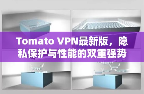 Tomato VPN最新版，隐私保护与性能的双重强势升级