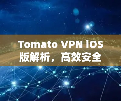 Tomato VPN iOS版解析，高效安全的移动互联网解决方案