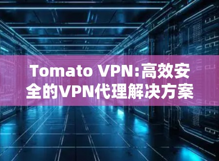 Tomato VPN:高效安全的VPN代理解决方案
