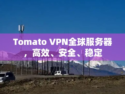 Tomato VPN全球服务器,高效、安全、稳定 Tomato VPN全球服务器,高效、安全、稳定