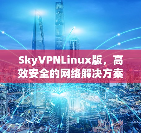 SkyVPNLinux版，高效安全的网络解决方案